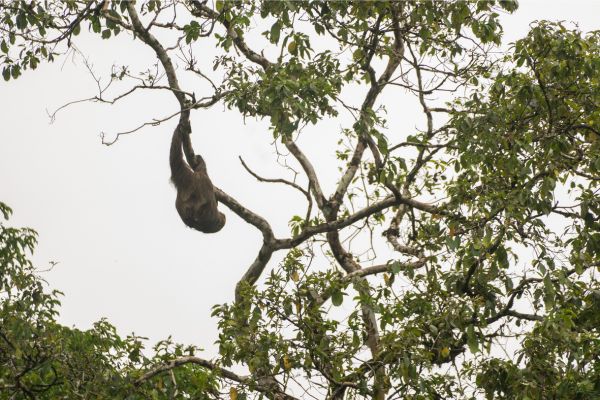 Amazon Kayaking Camping Discover Yasuni