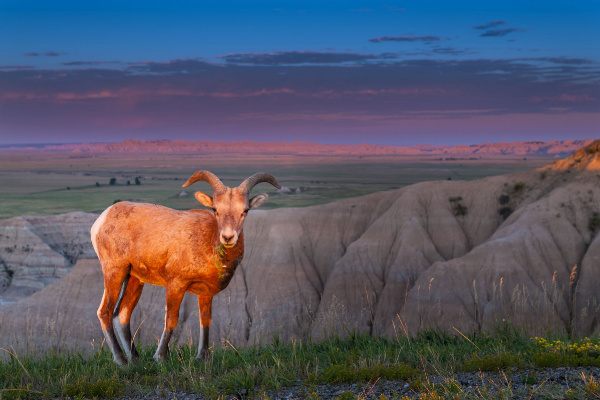 Discover New York To Hollywood