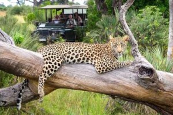 Best of Desert and Delta