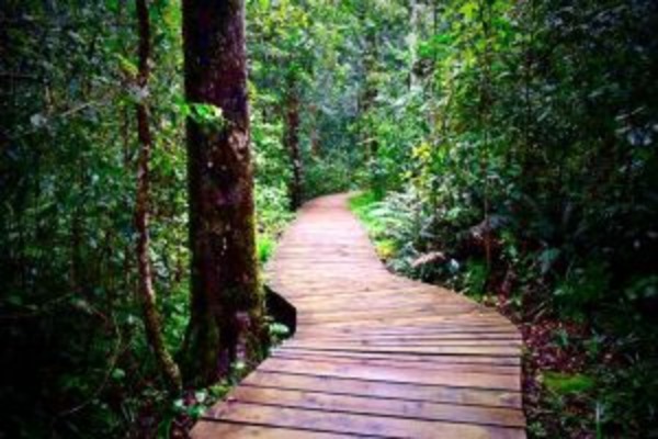 The Garden Route Splendour