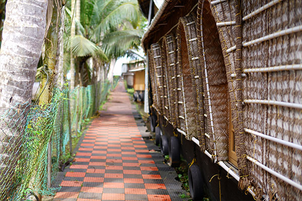 Southern India Escape