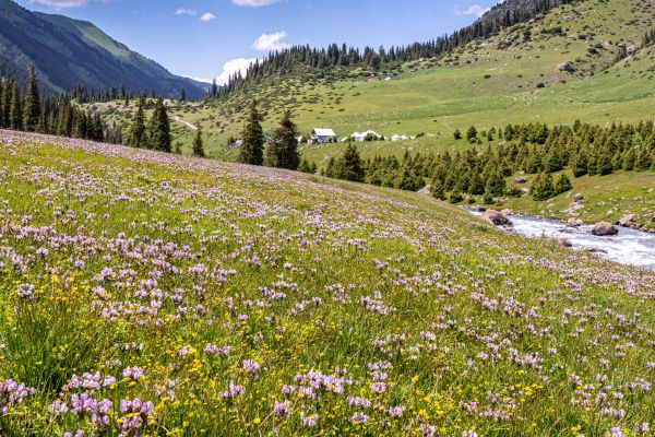 Discover Kyrgyzstan and Kazakhstan