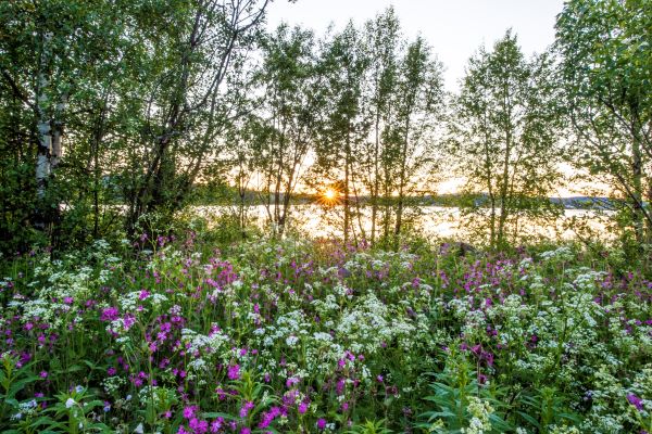 Scandinavian Capitals – Denmark, Norway, Sweden & Finland