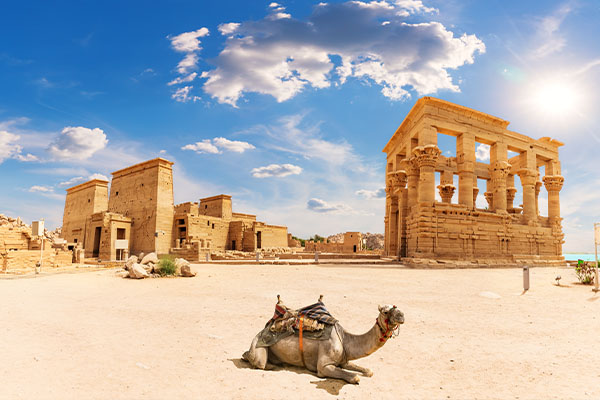 Cairo Stopover