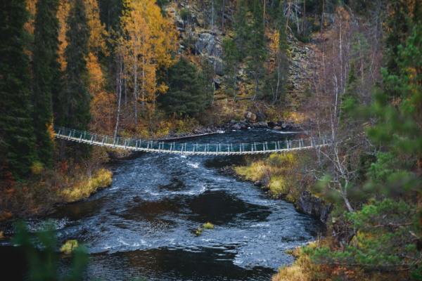 Enjoy Cozy Cottages of Finland