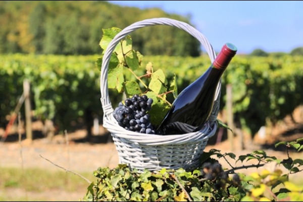 Wine and local cuisine of Austria