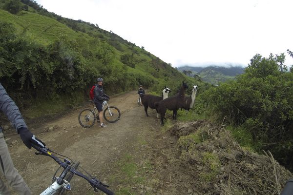 The Best of Ecuador