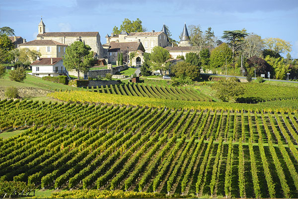 Paris and Bordeaux Wines