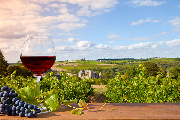 Paris and Bordeaux Wines