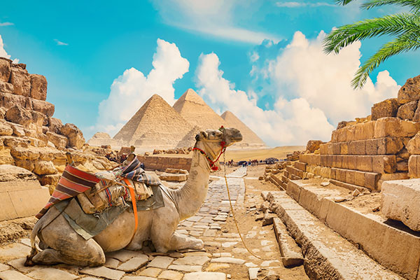 Cairo Stopover