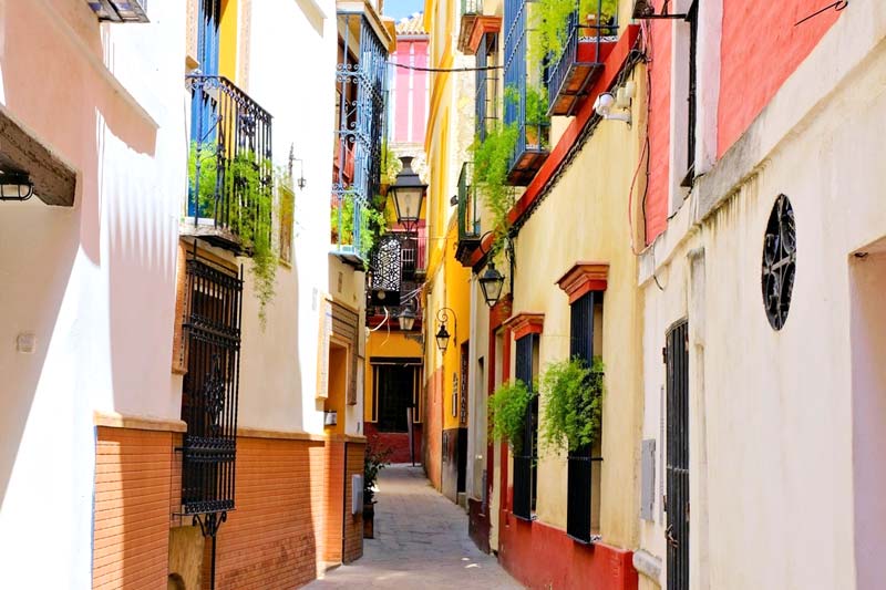 Madrid Gourmet Tour