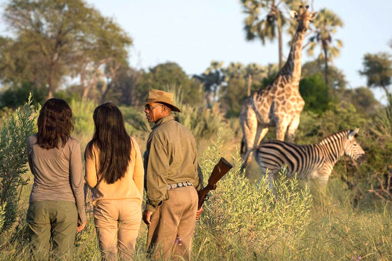 Best of Botswana Package Kasane-Maun