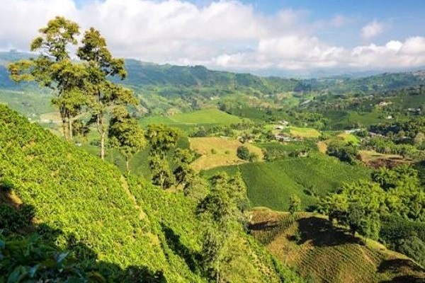 Colombian Adventure: From Medellín to Santa Marta