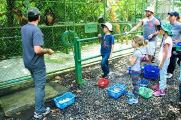 Costa Rica: A Pura Vida Potpourri