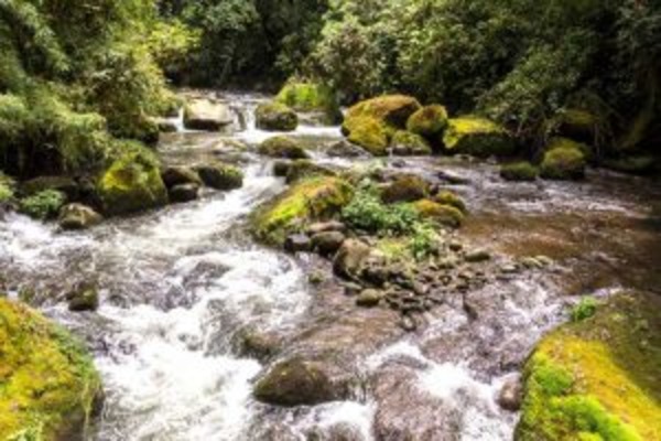 Costa Rica Family Quest