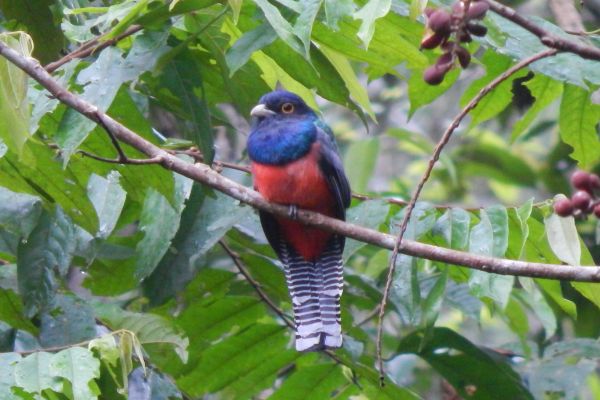 Amazon Kayaking Camping Discover Yasuni
