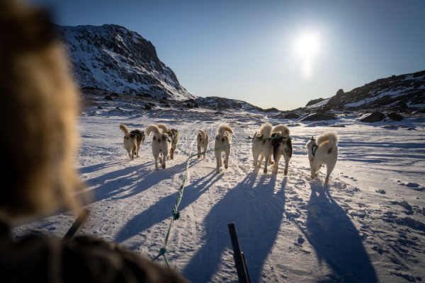 Greenlandic Winter Adventure