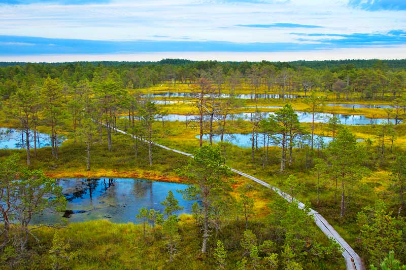 The Baltic Highlights