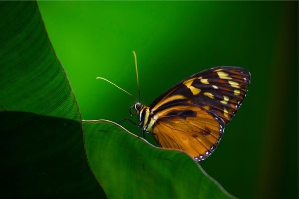 The Best of Ecuador
