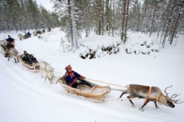 Finnish Lakes and Forests