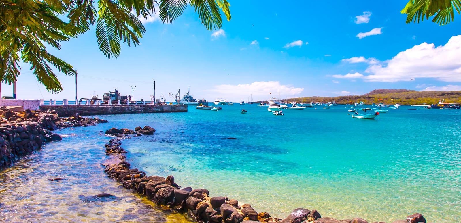 Galapagos