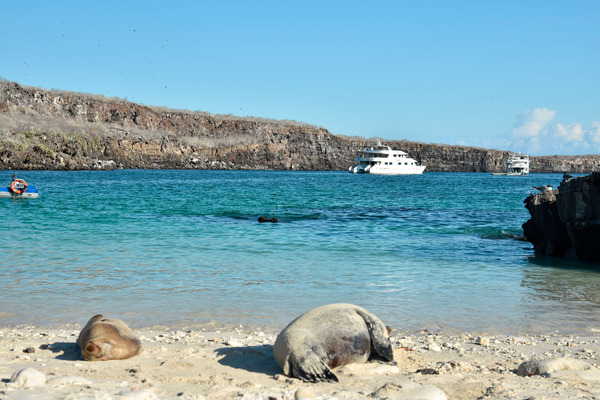 Galapagos Essentials