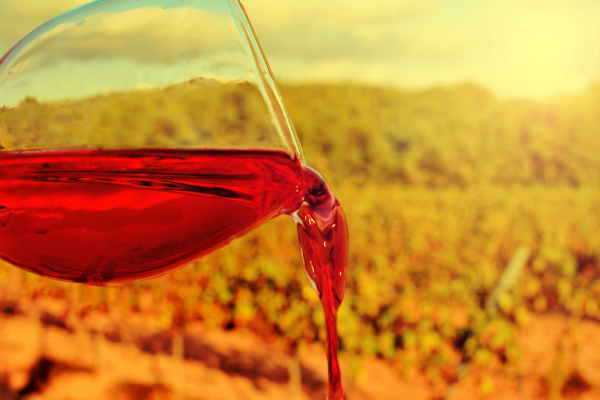 Wine and local cuisine of Austria