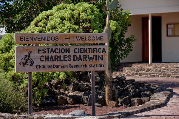Eastern Galapagos Islands Cruise