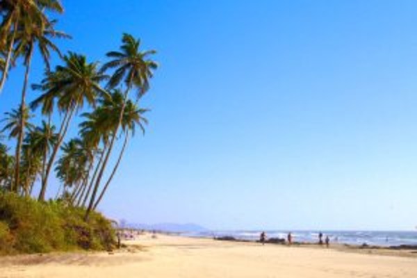 Immerse Goa