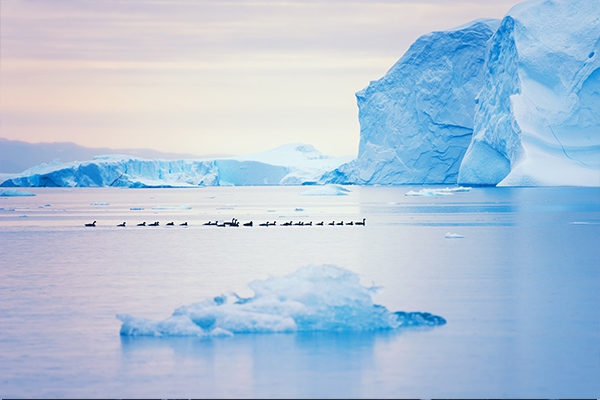 Summer, Sun and Huge Icebergs in Greenland
