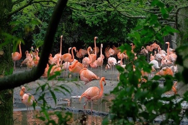 Manyara, Ngorongoro and Serengeti