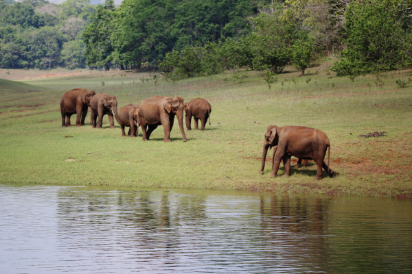 Best of Kerala