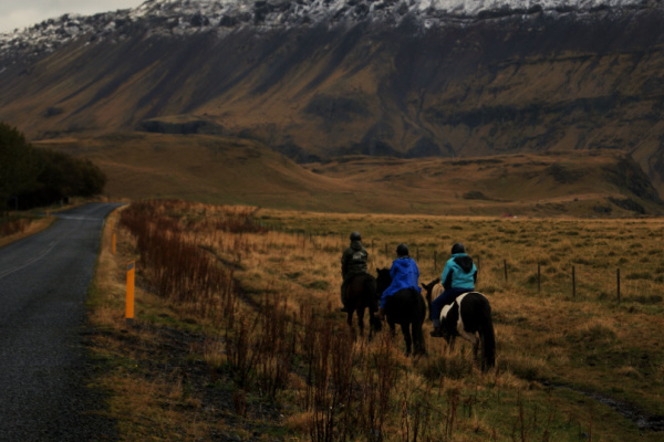 New Year’s Northern Lights Adventure