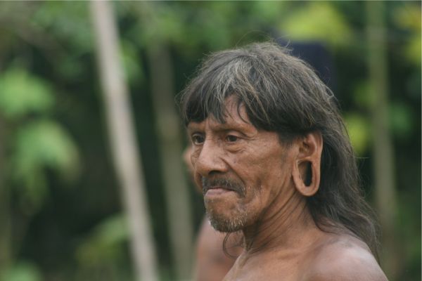 Deep Yasuni Wildlife Experience