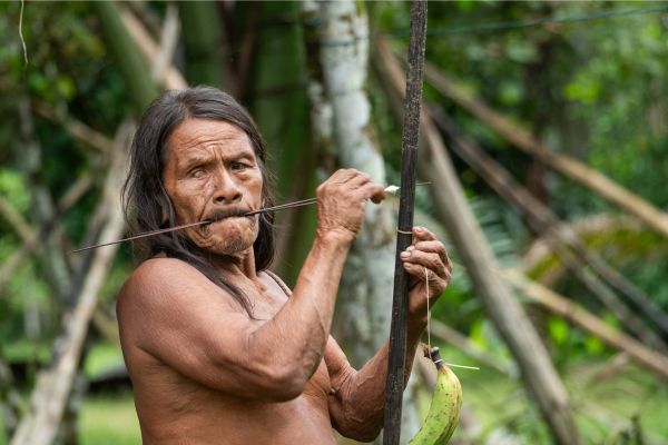 Deep Yasuni Wildlife Experience
