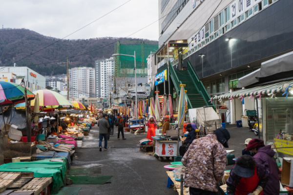 Best of Korea with Seoul