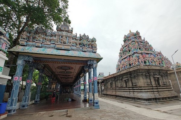 The Best of India