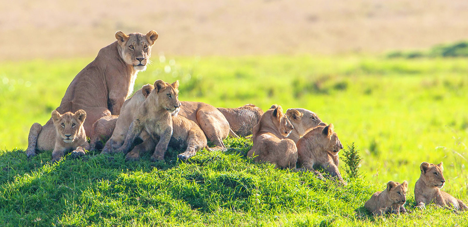 Kenya