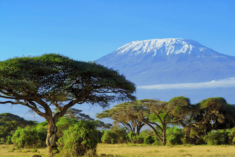 Kenya Classic (Sopa Lodges)