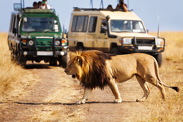 Through The Rift Valley (Tented)