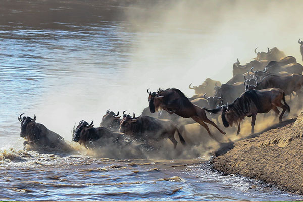 Through The Rift Valley (Tented)