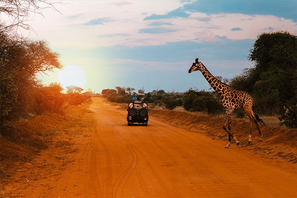 Through The Rift Valley (Tented)