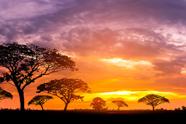 Through The Rift Valley (Tented)