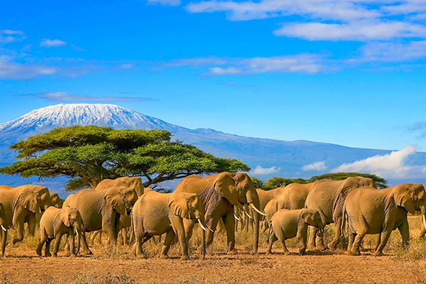 Through The Rift Valley Keekorok