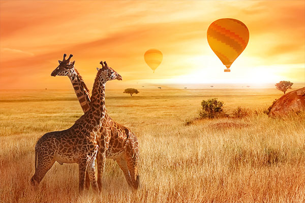 Through The Rift Valley (Sopa Lodge)