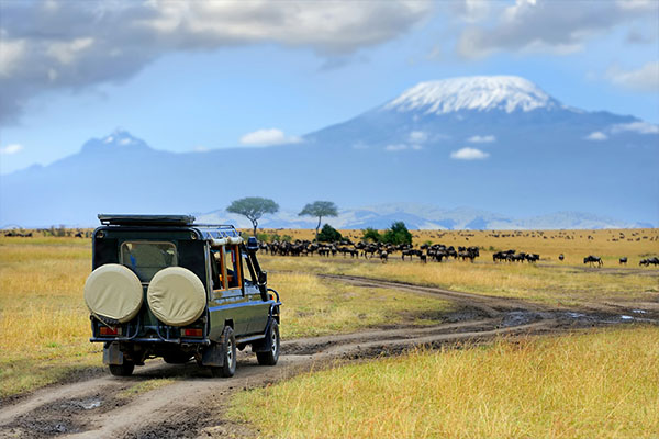 Through The Rift Valley (Sopa Lodge)