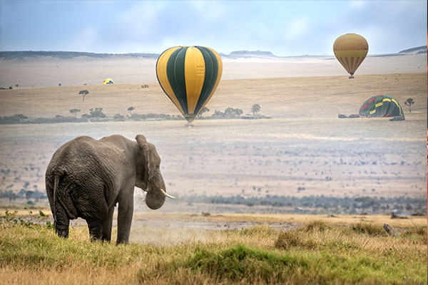Through The Rift Valley (Sopa Lodge)