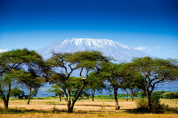 Through The Rift Valley (Tented)