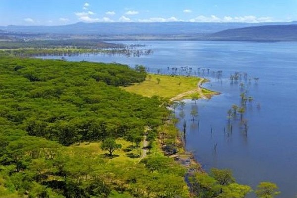 Highlights of Kenya