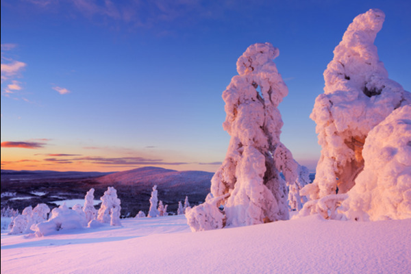 Immerse Rovaniemi